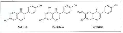 3 Chemical Structures Of The Isoflavones Daidzein Genistein And