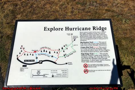 Hiking Trails at Hurricane Ridge - Exploring My Life