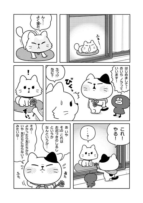 【第3話】東京ノラ 野良猫と家猫、どっちが幸せ？～ノラの初恋～ Web げんき｜講談社