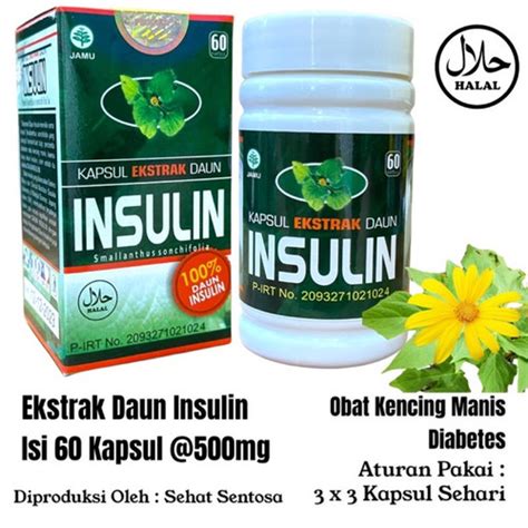 Jual Kapsul Ekstrak Daun Insulin Diabetes Herbal Obat Insulin Isi 60