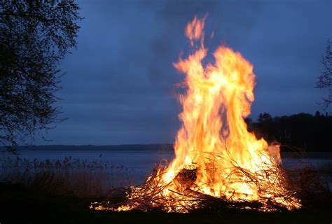 Control Of Fire In The Paleolithic Evaluating The Cooking Hypothesis