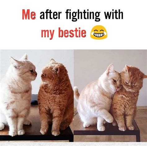 Cute Fight With Best Friend Ema Kayley