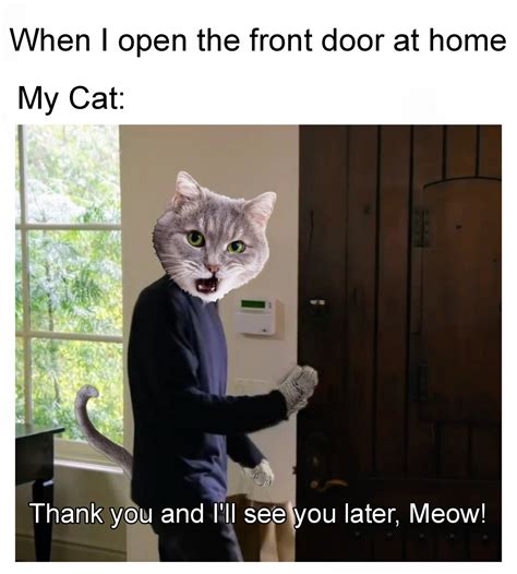 Leaving cat meme - Meme by MonkeyRange :) Memedroid