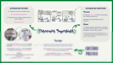 Solution Mapa Mental Acentua O Gr Fica Studypool