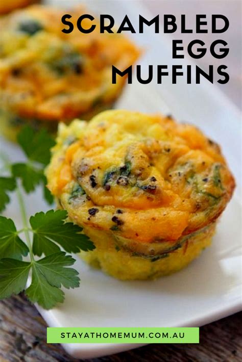 Meals You Can Make In A Muffin Tin Stay At Home Mum