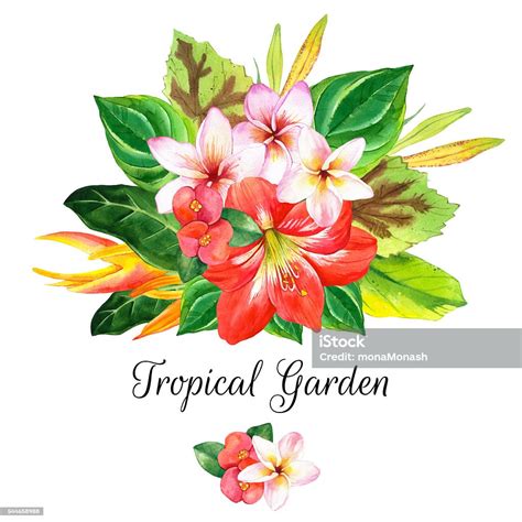 Ilustración De Ilustración Con Flores Acuarela Realista Jardín Tropical