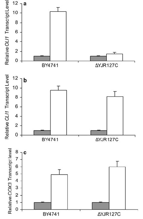 Real Time Rt Pcr Assays To Define Relative Transcript Levels From The