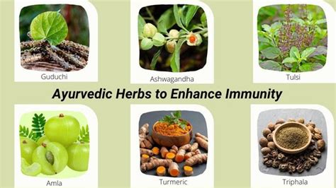 How To Improve Immunity Naturally What Ayurvedic Herbs Or Spices