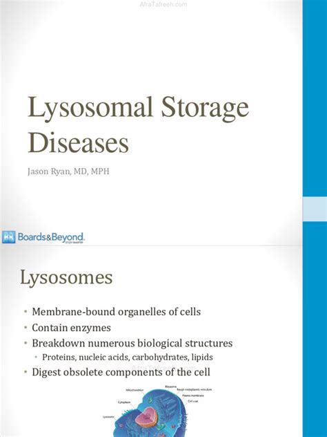 Lysosomal Storage Diseases Atf | PDF | Lysosome | Diseases And Disorders