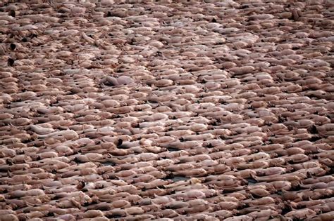 Naked Volunteers Pose For U S Artist Spencer Tunick At Mexico City S