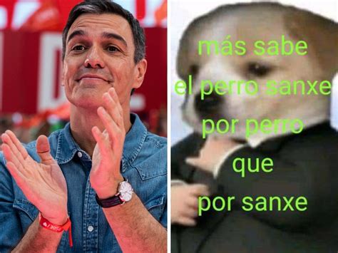 Los Mejores Memes Y Reacciones De Las Elecciones Generales Del J