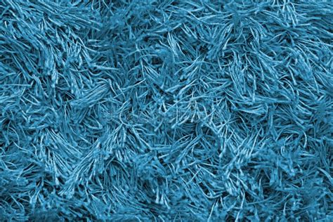 Shaggy Carpet Texture Stock Photo Image Of Fabric Cozy 45943132