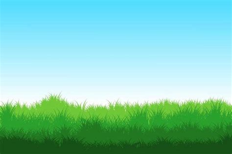 Grass Field Vector Art, Icons, and Graphics for Free Download