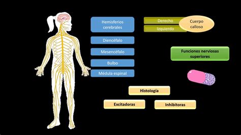 Farmacologia Sistema Nervoso Central BRAINCP