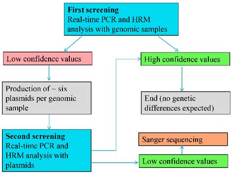 The Two Step Screening Schema For The Analysis Of Mon810 Only Samples