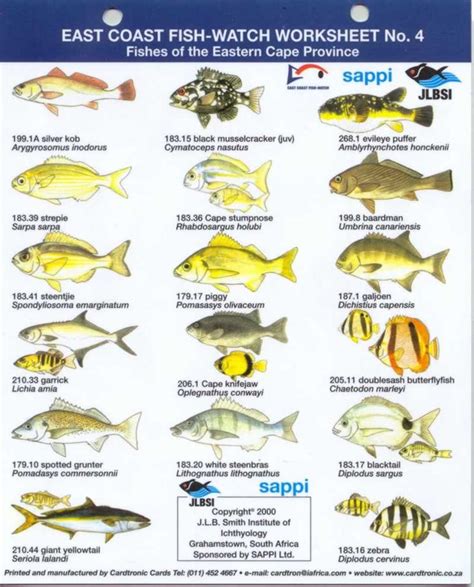 Pin By Theartistanastasia On South African Fishes Fish Chart