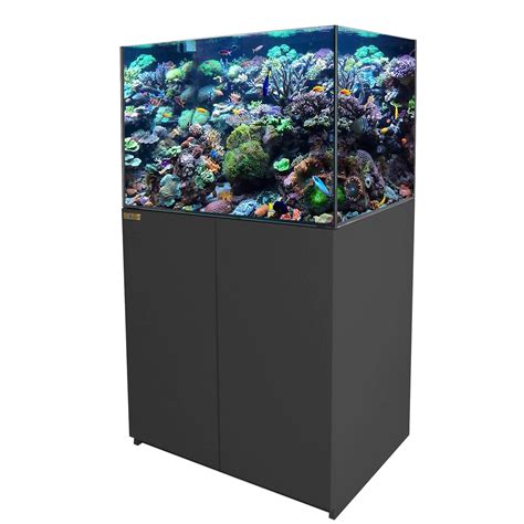 Reef Aquarium Setup Guide