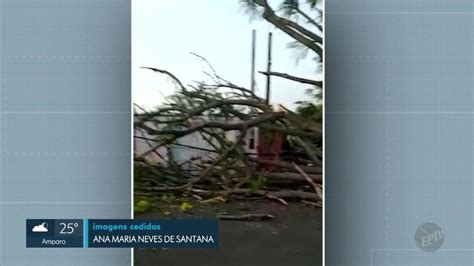 Árvore cai sobre poste e muro de casa em Sumaré veja imagens