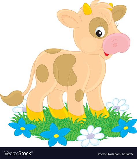 Calf Royalty Free Vector Image Vectorstock