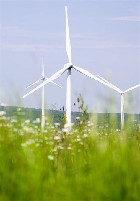 OVB Heimatzeitungen Windräder schneller bauen