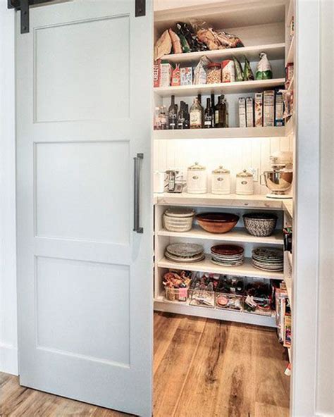 47 Genius Kitchen Pantry Ideas To Optimize Your Small Space HomeMydesign