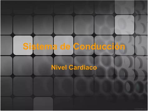 Sistema de conducción cardiaca PPT