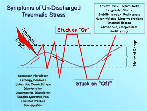 Attachment Experiences Impact What Part Of The Brain