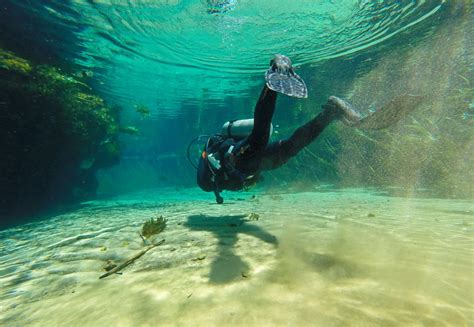 Natura D Abruzzo Naturabruzzo It Immersione Subacquea Riserva