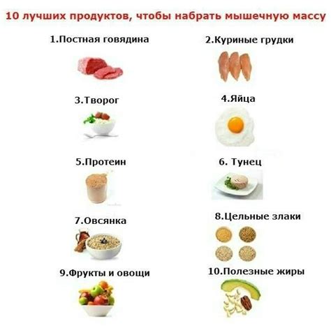 10 лучших продуктов для набора мышечной массы | Food to gain muscle ...