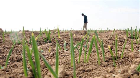 Agricultura Resuelve Las Ayudas Agroambientales De La PAC Por Valor De