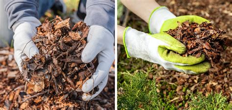 How To Refresh Mulch Step By Step Guide 2025