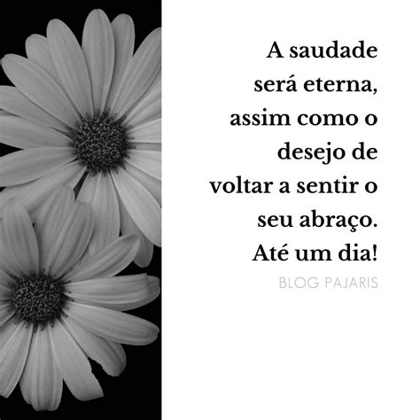 Frases De Saudade Blog Da Pajaris Biqu Nis Moda Viagens E Vida