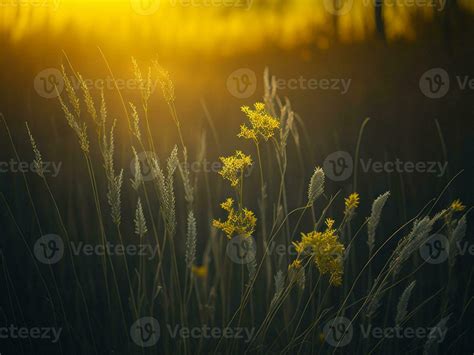 Ai Generated Abstract Soft Focus Sunset Field Landscape Of Yellow Flowers And Grass Meadow Warm