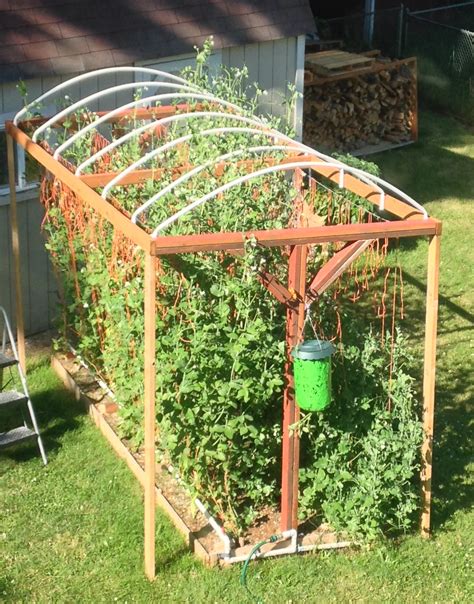 Easy Diy Garden Trellis Ideas Vertical Growing Structures A The Best