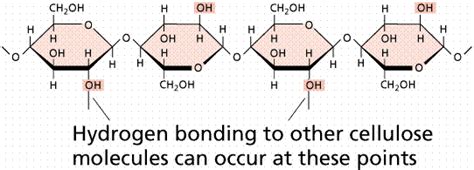 Lon Capa Chemistry Ii Water And Organic Molecules