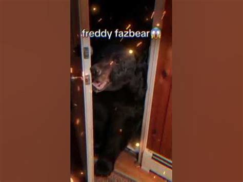 О ХОЛЕРА ЧИТО ФРЭДДИ ФАЗБЕР edit #мем #рекоминдации #meme #ржака - YouTube