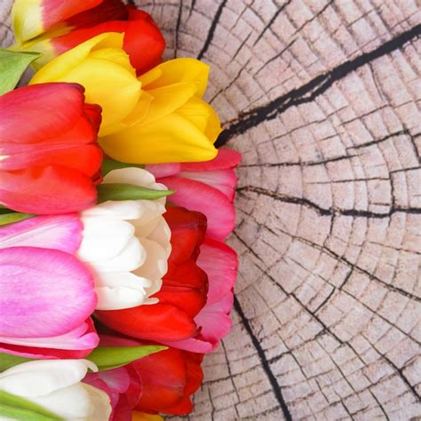 Premium Photo A Bouquet Of Fresh Bright Multi Colored Tulips