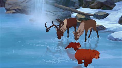 Brother Bear 2 Screencap Fancaps