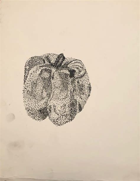 Bell Pepper Drawings Breonna Jackson