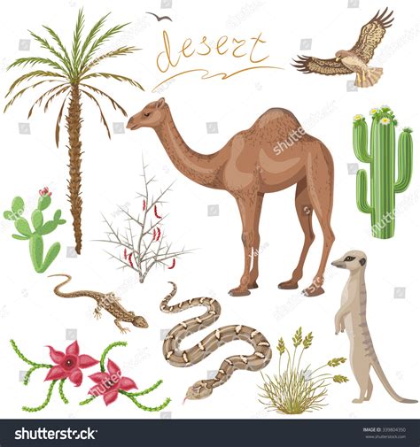 Set Desert Plants Animals Isolated On Stock Vector (Royalty Free ...