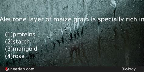 Aleurone layer of maize grain is specially rich in - NEETLab