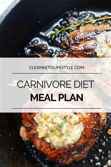 Carnivore diet meal plan for beginners – Artofit