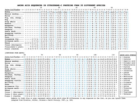 Human... AMINO ACID SEQUENCES IN CYTOCHROME-C | Chegg.com