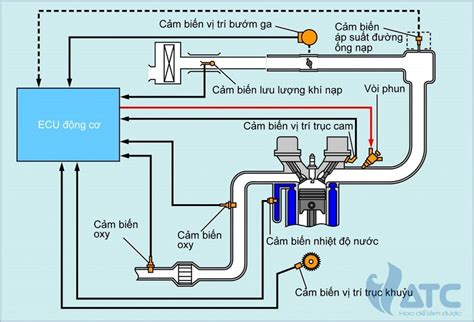 Top 60 Sơ đồ Hệ Thống Phun Xăng điện Tử Hot Nhất