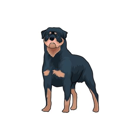 Perro Rottweiler Para Logotipo U Otras Necesidades De Ilustraci N