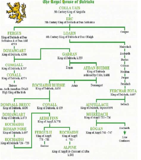 85 best Irish Celtic Clans images on Pinterest | Family tree chart, Irish celtic and Genealogy