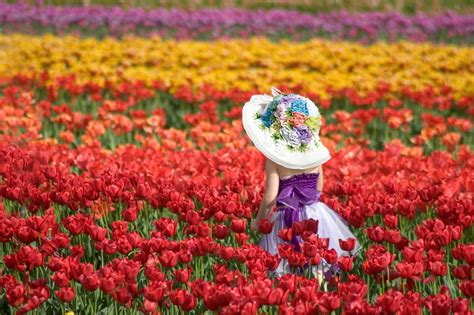 The Vibrant Tesselaar Tulip Festival Is Back For Melbourning