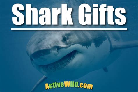 Shark Gifts - Gift Ideas For Shark Lovers Of All Ages