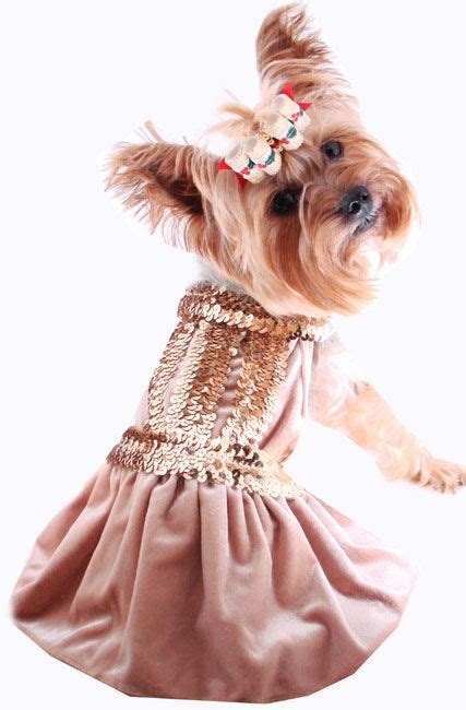 Pet Dresses Fancy Dog Dress Puppy Dresses Doggie Clothes Formal