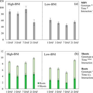 Microbial Biomass N A Root And Shoot Biomass Production B Of Pots